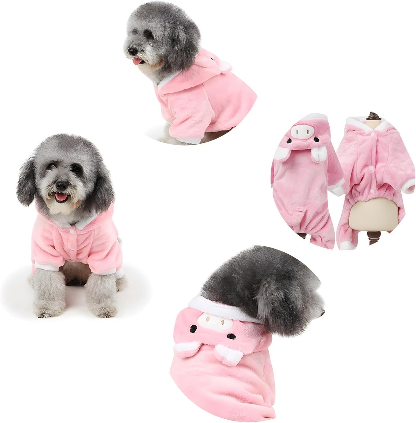 Piggy Pet Fashion