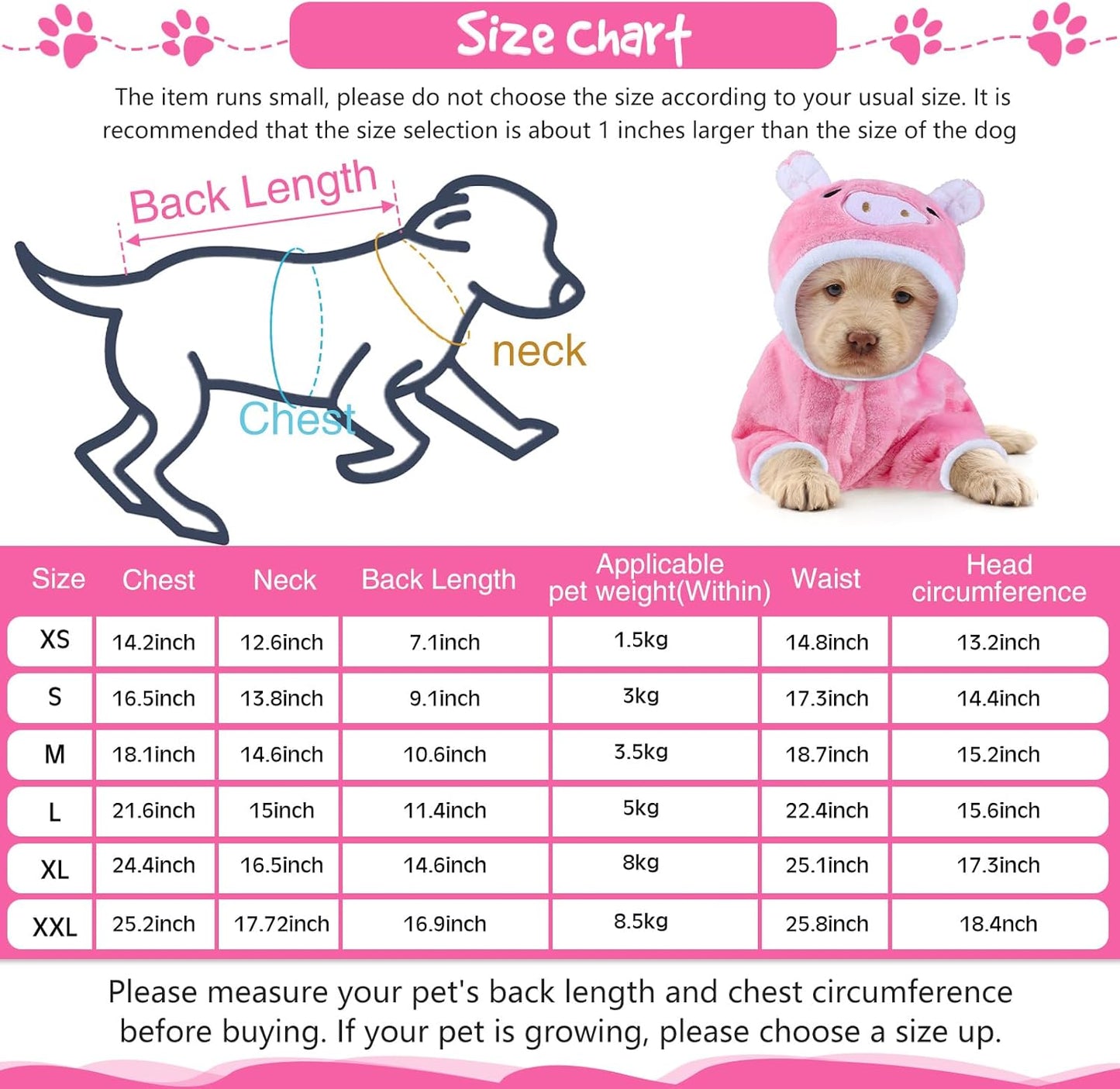 Piggy Pet Fashion