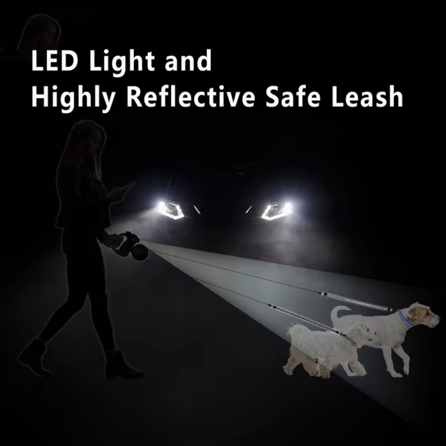 TwistGuard Dual Leash