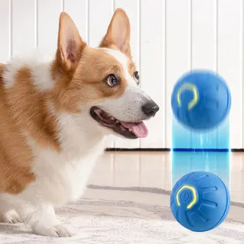 BouncePawl
