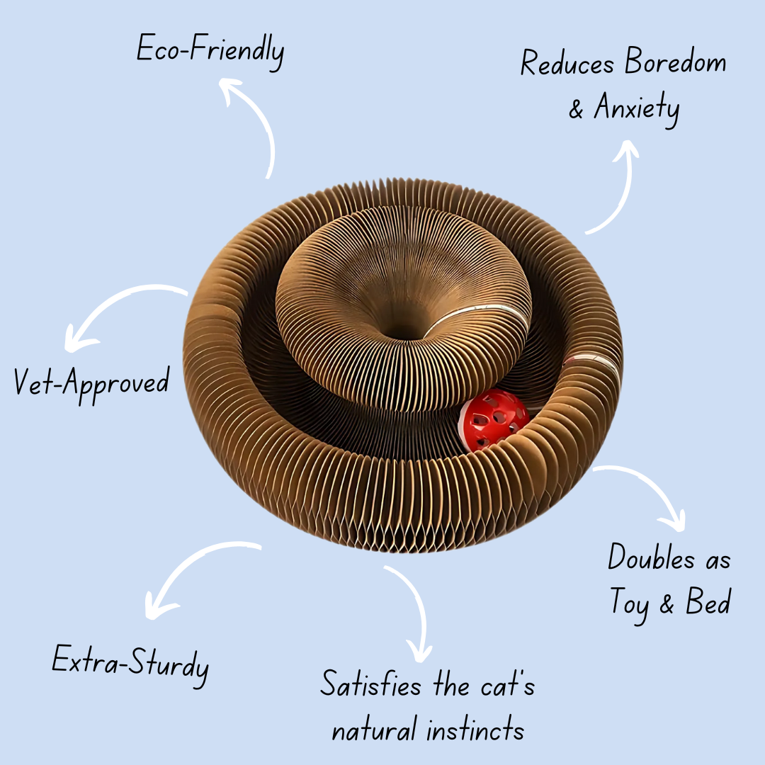Slinky Kitty