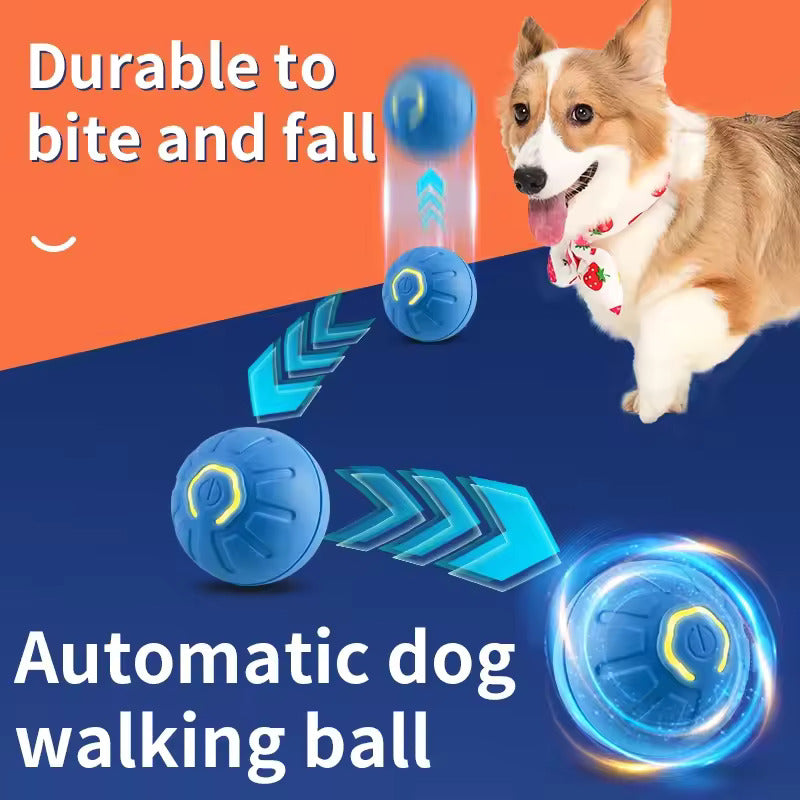 BouncePawl