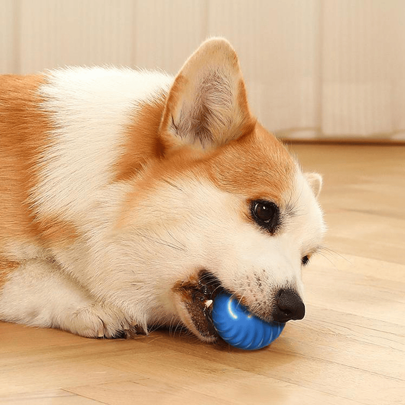 BouncePawl