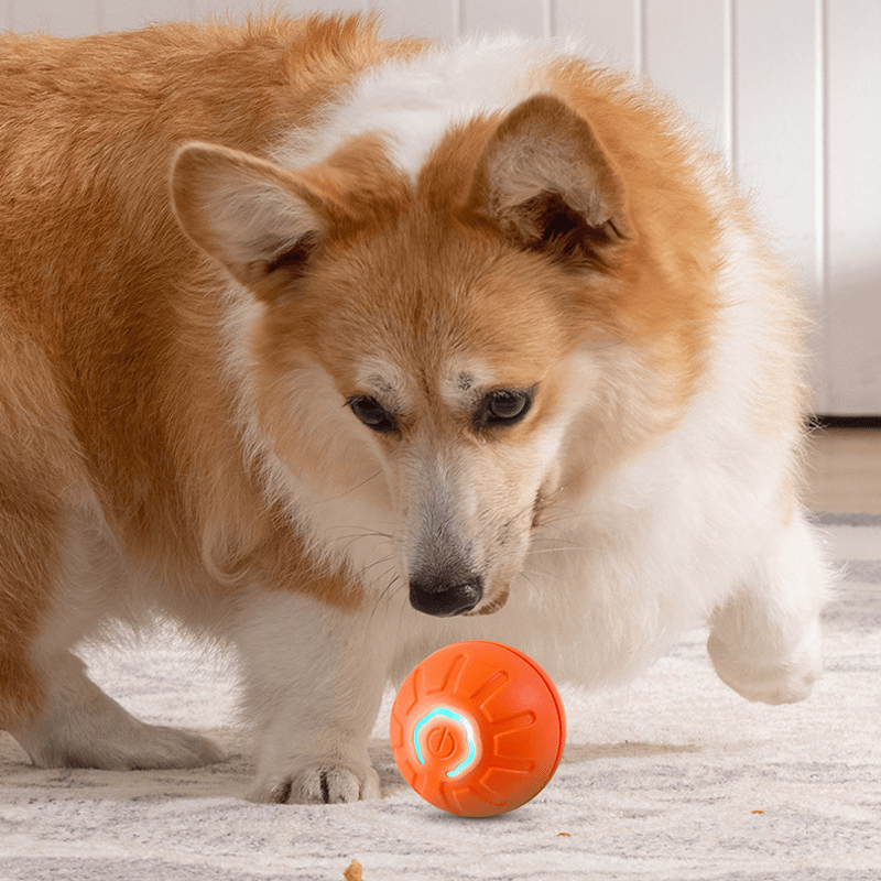 BouncePawl