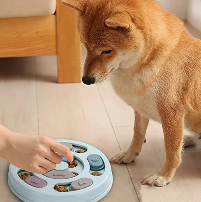 Pawzzle Bowl