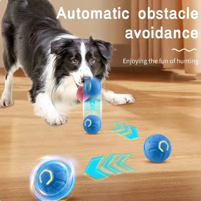 BouncePawl