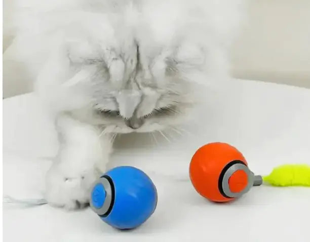 ZoomiBall