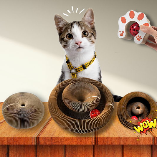 Slinky Kitty