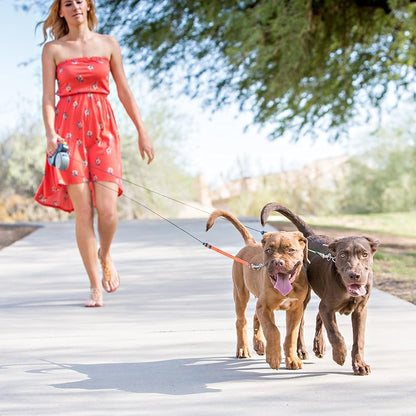 TwistGuard Dual Leash