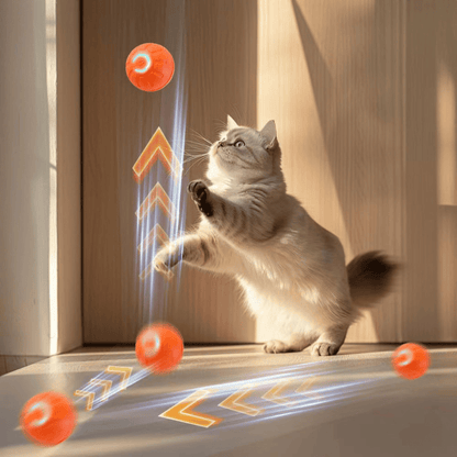 BouncePawl