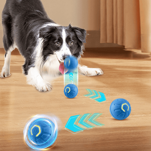 BouncePawl