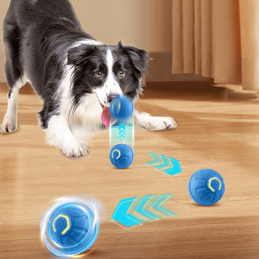 BouncePawl